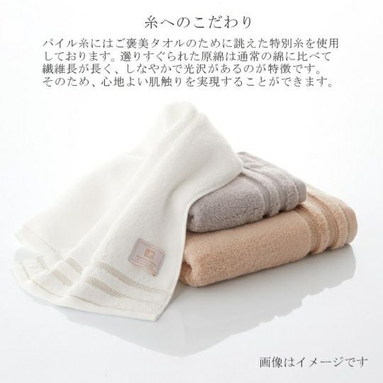 今治謹製 ご褒美タオル バスタオル 1枚 約60×120㎝ TGH163 【今治製