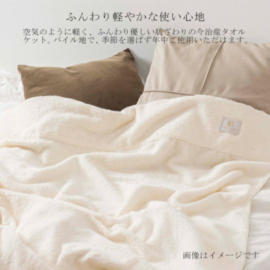 今治謹製 エアリータオルケット 約140×200㎝ TAK11 【今治製】 | 今治