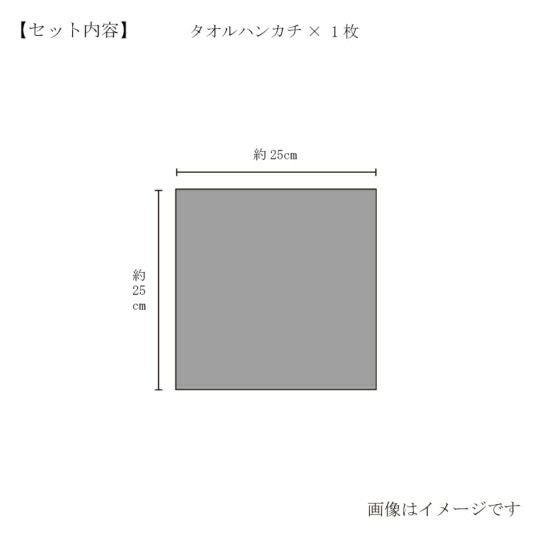 今治謹製 （Triporous） 消臭抗菌ハンカチタオル1枚 約25×25cm TITP01