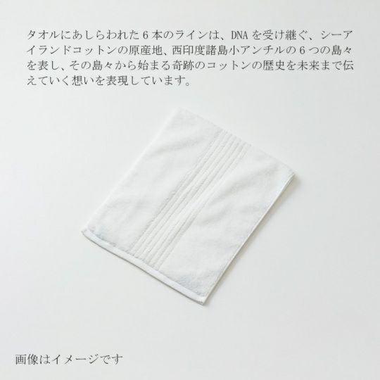 今治謹製 COEST(コースト)　フェイスタオル 1枚　約34×80㎝　TCOE02　（今治製）にあしらわれた6本のライン