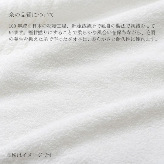 今治謹製 COEST(コースト)　フェイスタオル 1枚　約34×80㎝　TCOE02　（今治製）の糸の品質