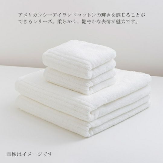 今治謹製 COEST(コースト)　バスタオル 1枚　約75×140㎝　TCOE03　（今治製）はアメリカンシーアイランドコットンの輝きを感じることができるシリーズ