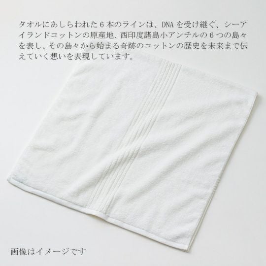 今治謹製 COEST(コースト)　バスタオル 1枚　約75×140㎝　TCOE03　（今治製）のタオルにあしらわれた6本のライン