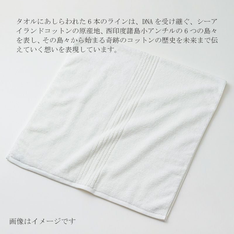 今治謹製 COEST(コースト)　専用BOX入り　バスタオル 1枚　約75×140㎝　COE1255　（今治製）にあしらわれた6本のライン