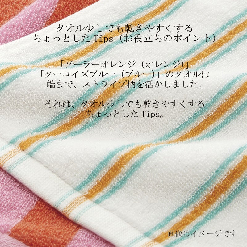 今治謹製 サニーストライプ フェイスタオルバリエーション